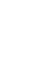 icon shield