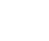 solution partner